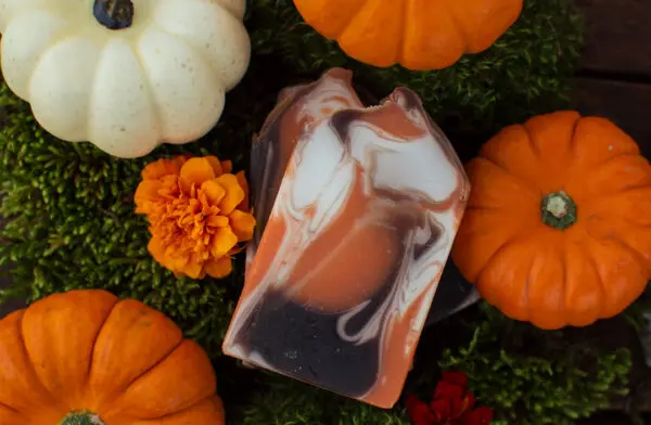 Pumpkin Spice - Image 2