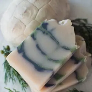 Red River Gorge Soap Collection made by Positive Attraction Soaps Co in Beattyville, Kentucky