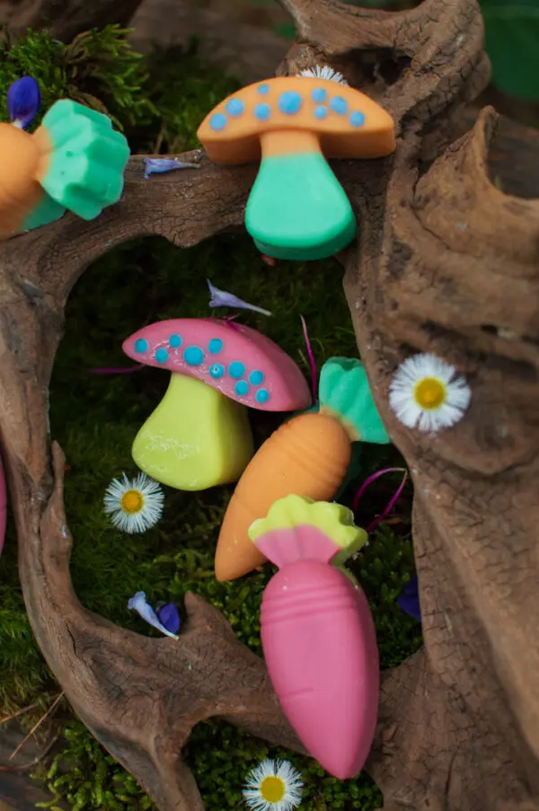 Magical Mushrooms (Pink Top)