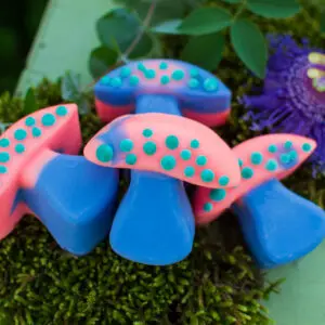 Magical Mushrooms (blue & pink)