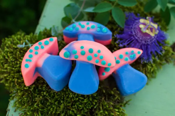 Magical Mushrooms (blue & pink)