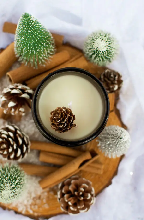 Cinnamon Spice Candle