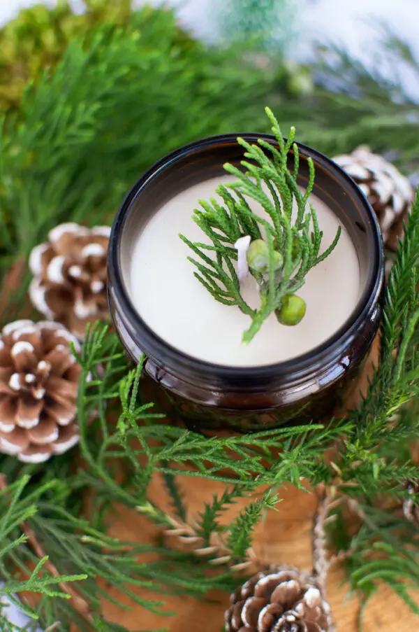 Frasier Fir Candle