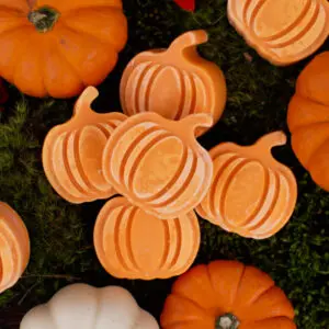 Mini Pumpkins