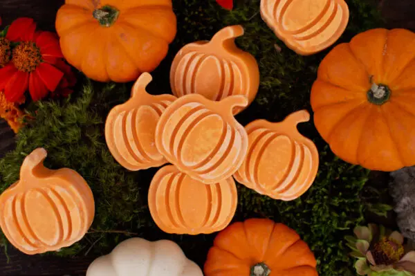 Mini Pumpkins